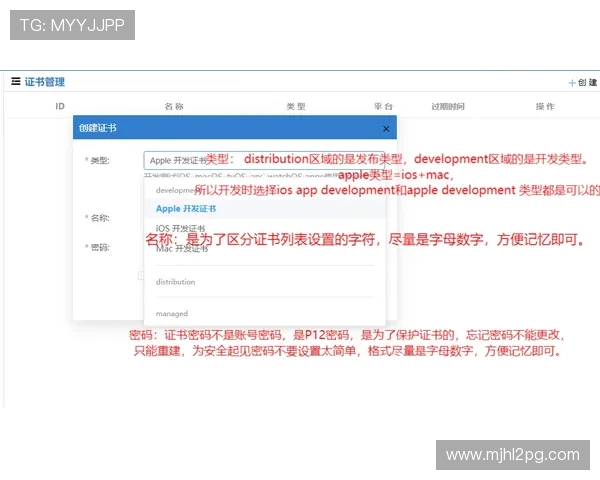 最新PG娱乐官网注册入口地址推荐及注册流程详细解析助你轻松开启游戏之旅
